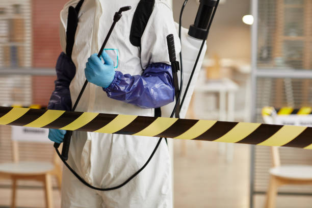 Professional Hoarding Cleanup technician working in Sand Lake, MI